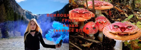 СК Абинск
